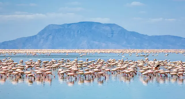 2 DAYS TANZANIA SHARING GROUP JOINING  SAFARI