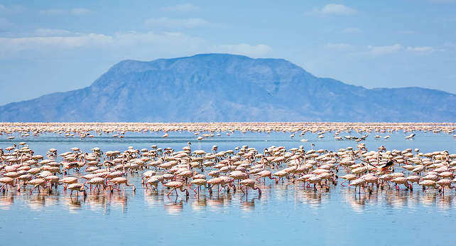 lake natron private tour