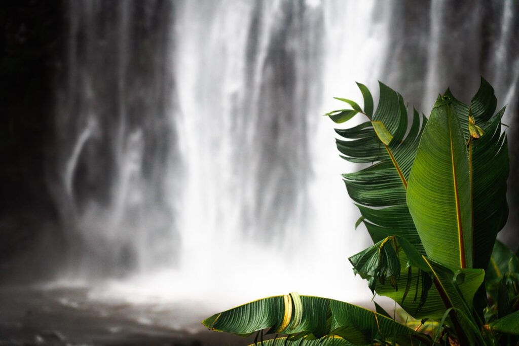 Materuni Waterfall day trip and coffe