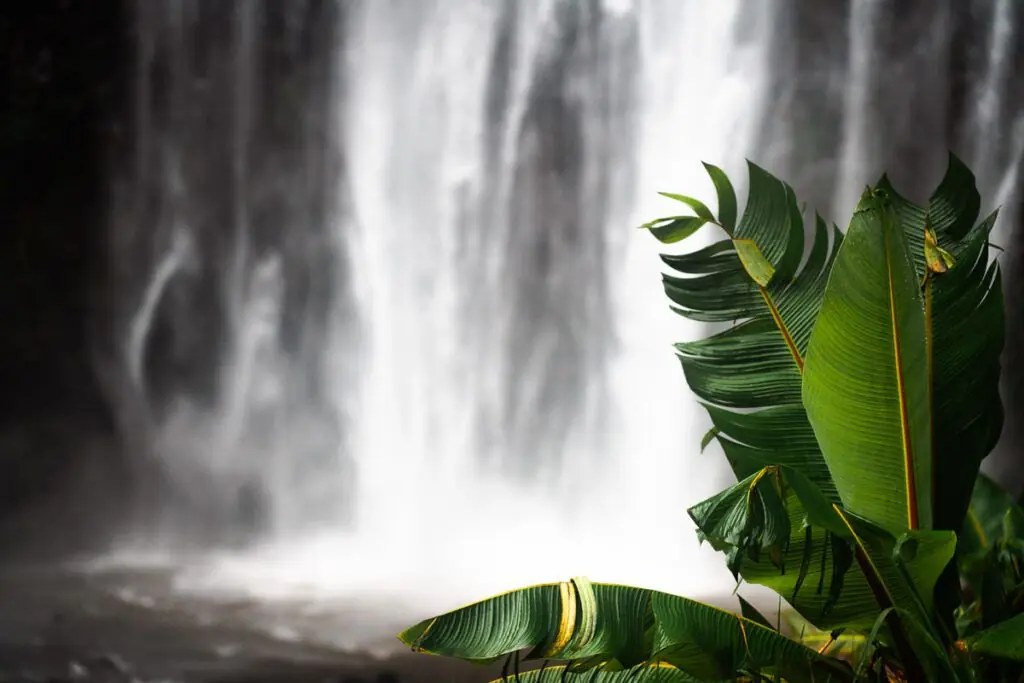 materuni day trip tour Materuni Waterfall day trip and coffe