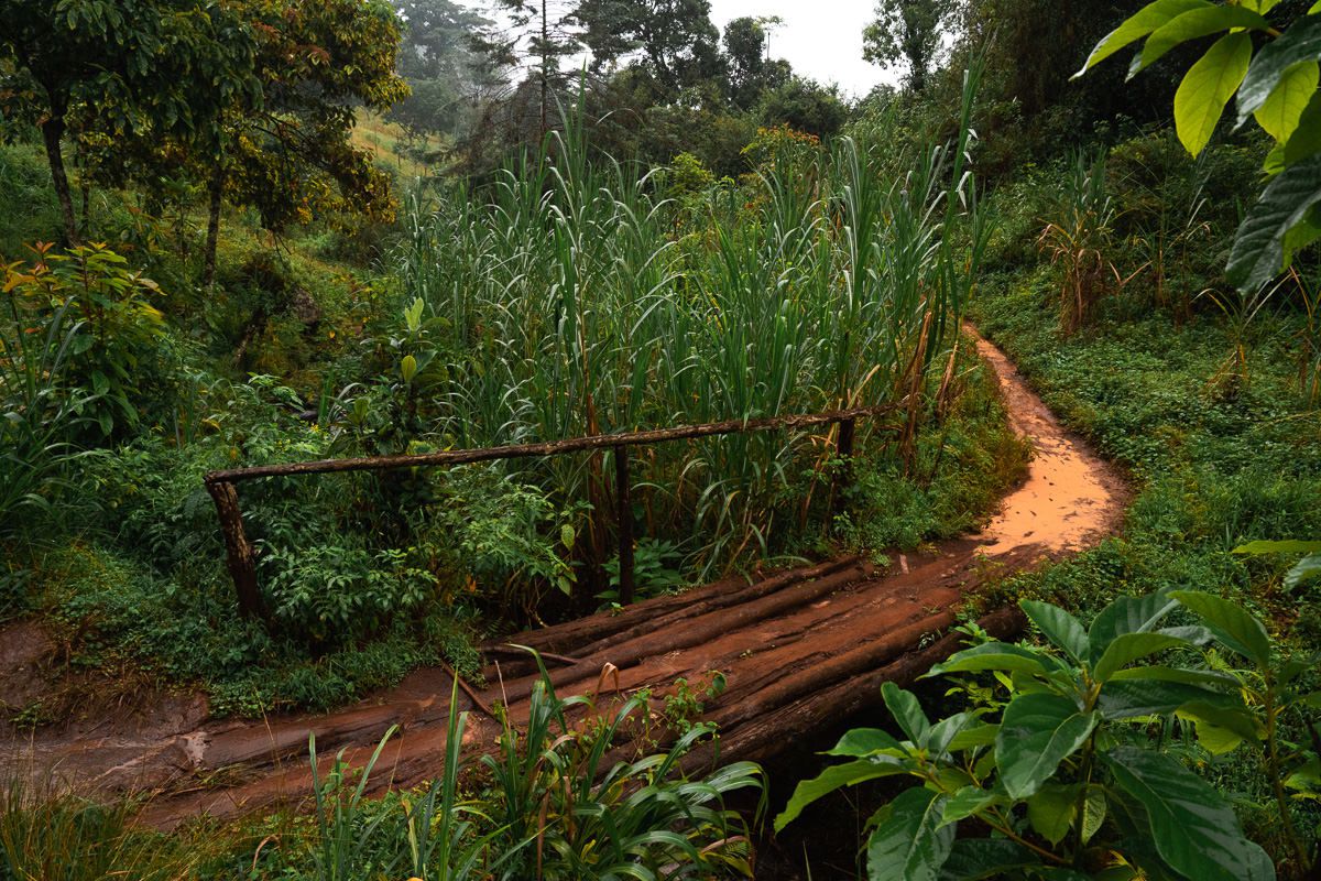 Materuni Waterfall and coffe tour