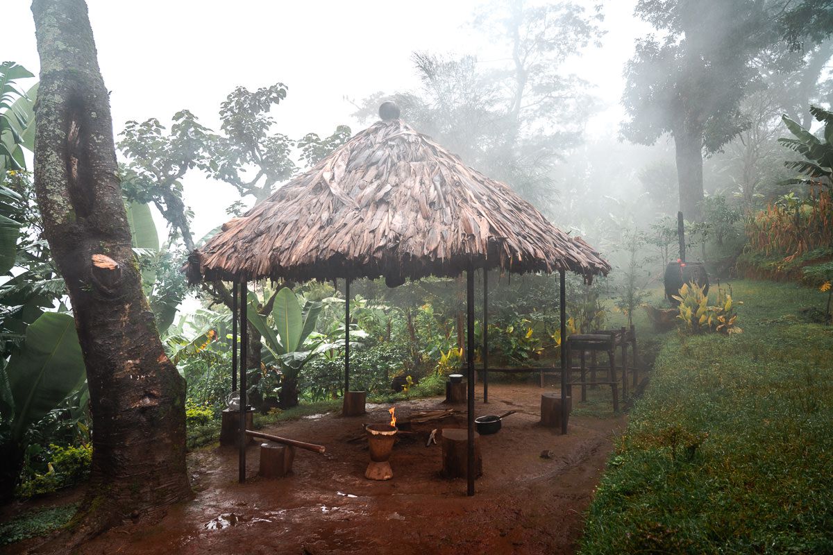 Materuni Waterfall and coffe