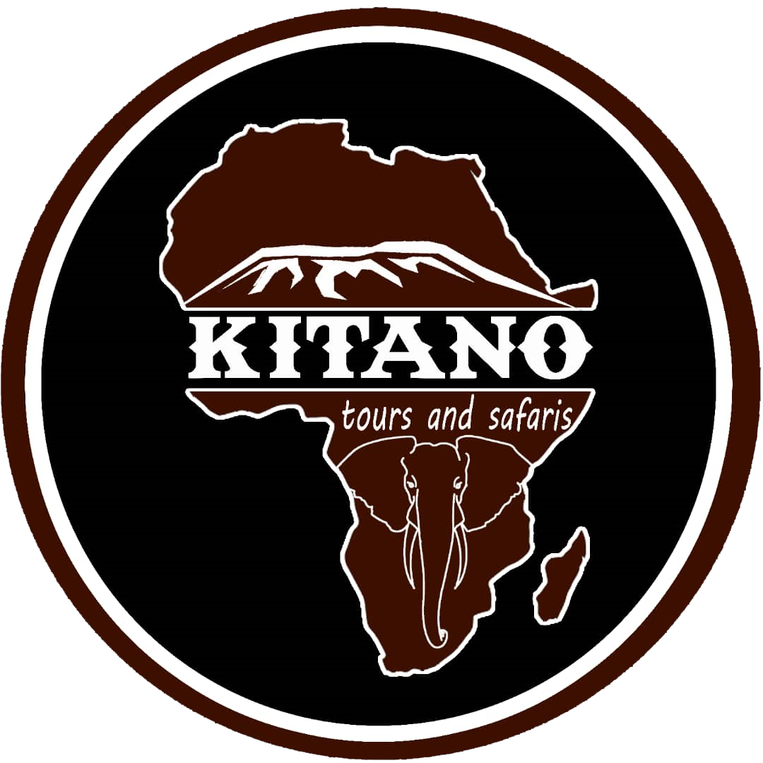 Kitano Tours Safaris