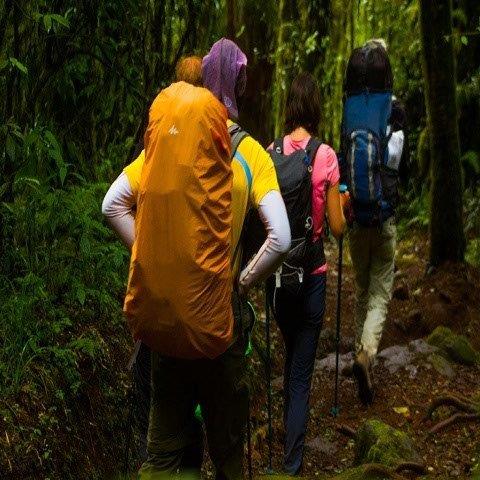 7 Days Machame Route Mount  