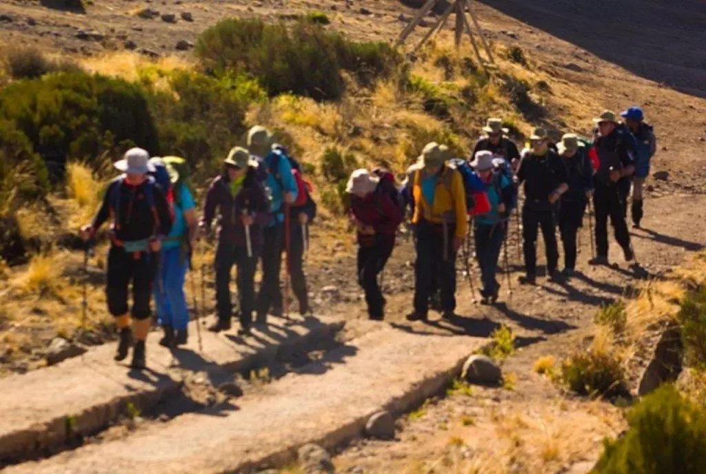 9 days kilimanjaro northern circuit: londorossi gate