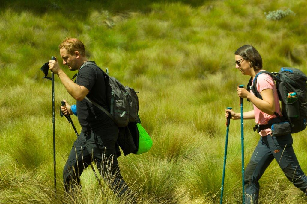 kilimanjaro luxury machame route hiking