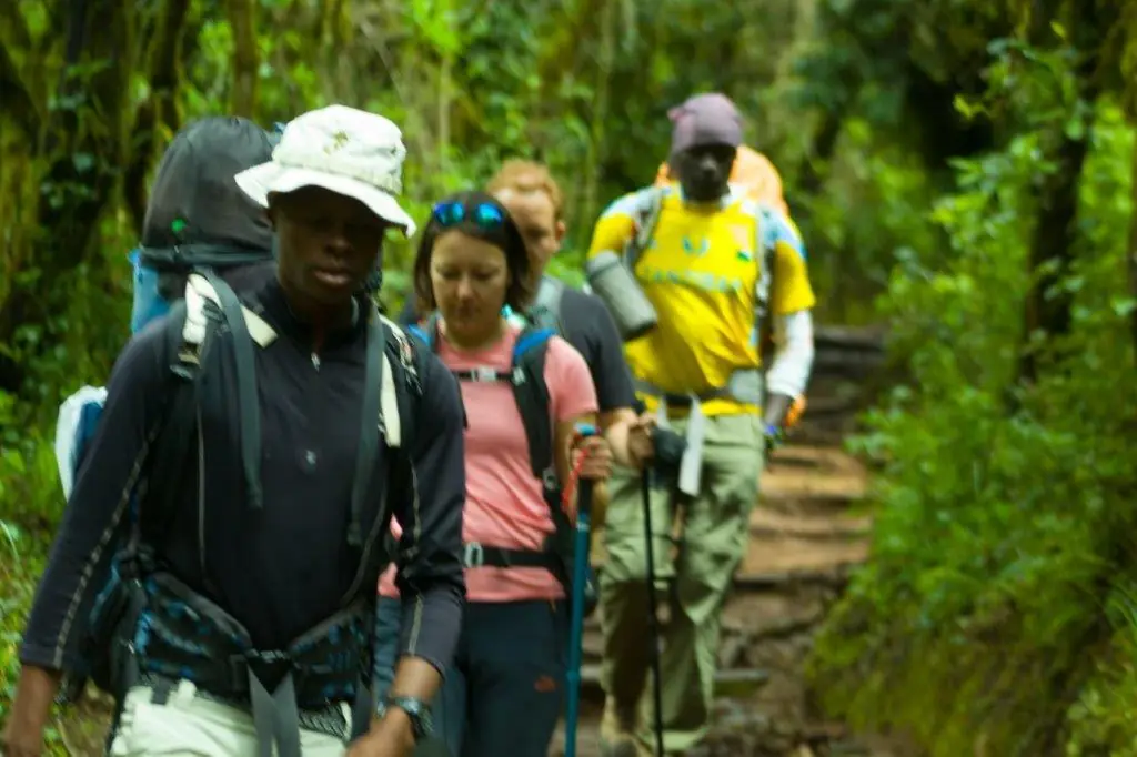 3 days hike mount kilimanjaro via marangu route 3 day marangu route hike