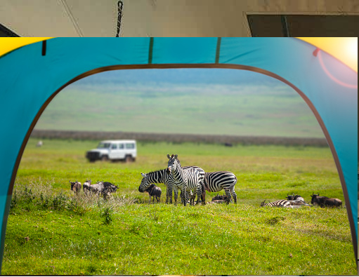 Tanzania camping budget safari