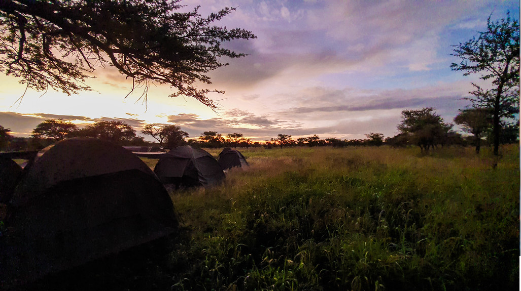 Six day tanzania camping safari 