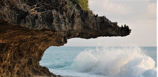 PRISON ISLAND TOUR