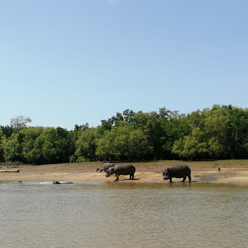 1 day mikumi-national-park