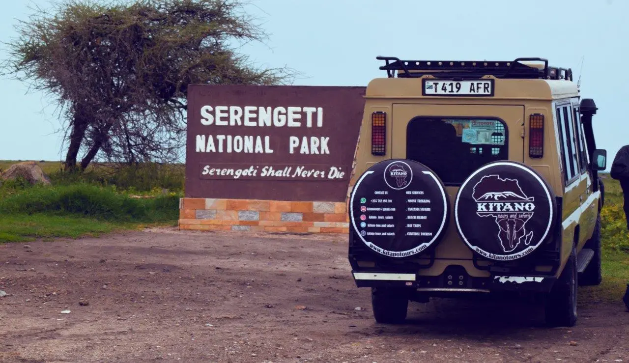 Wildebeests during Great Migration at Serengeti National Park