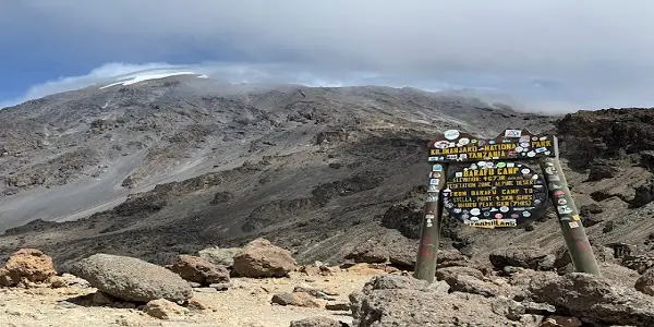 barafu camp lemosho route