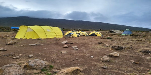 kilimanjaro white house