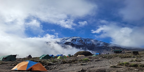 kilimanjaro white house