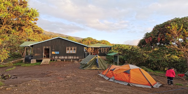 kilimanjaro white house