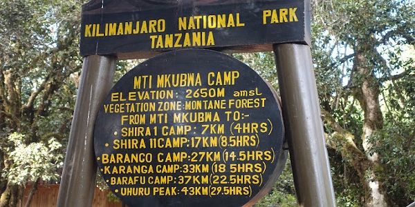 kilimanjaro white house