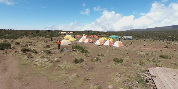 kilimanjaro white house