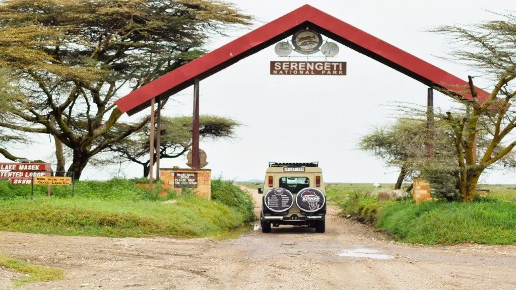 6 days Serengeti-migration safari