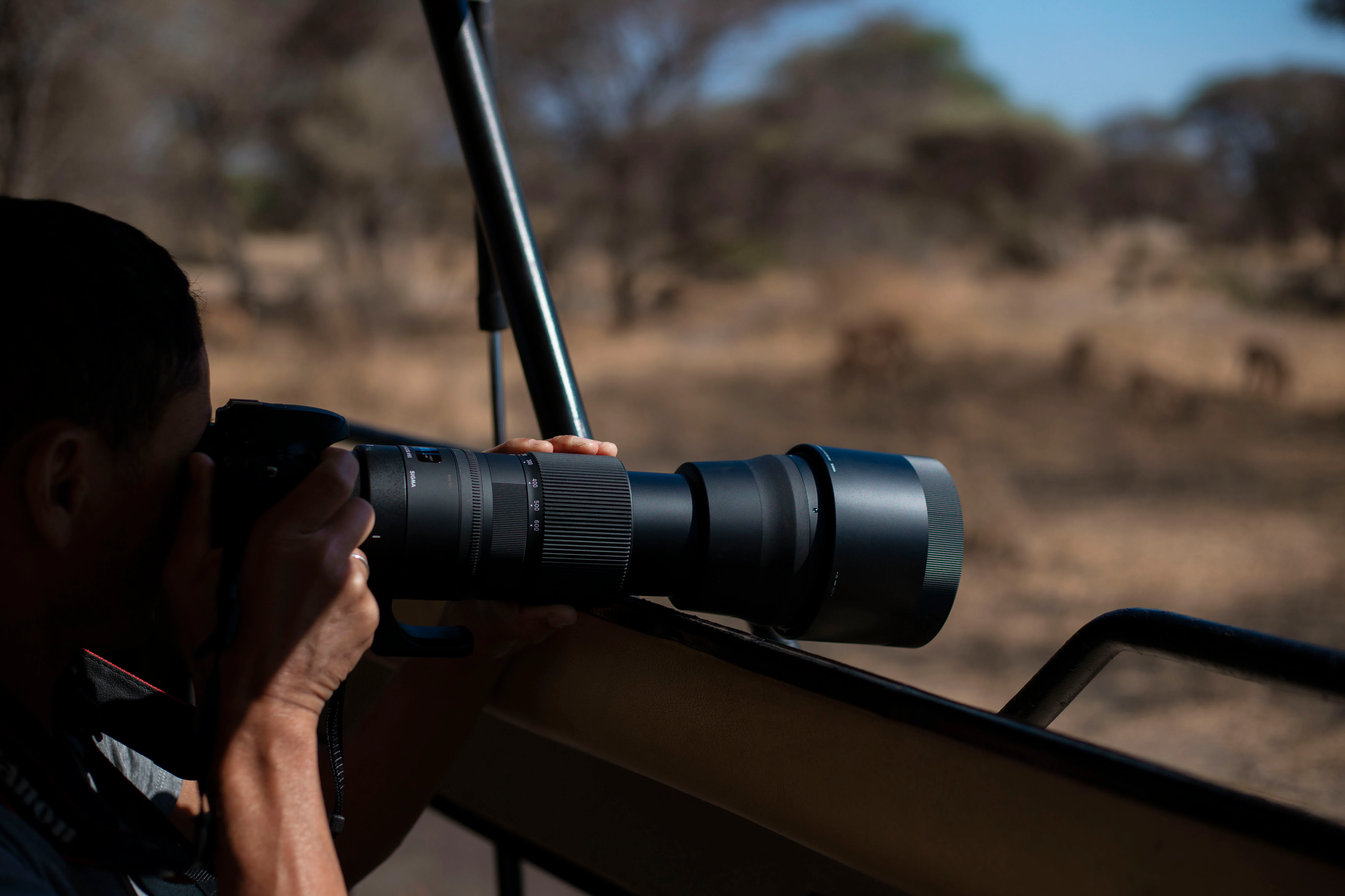 GREAT SERENGETI MIGRATION SAFARI