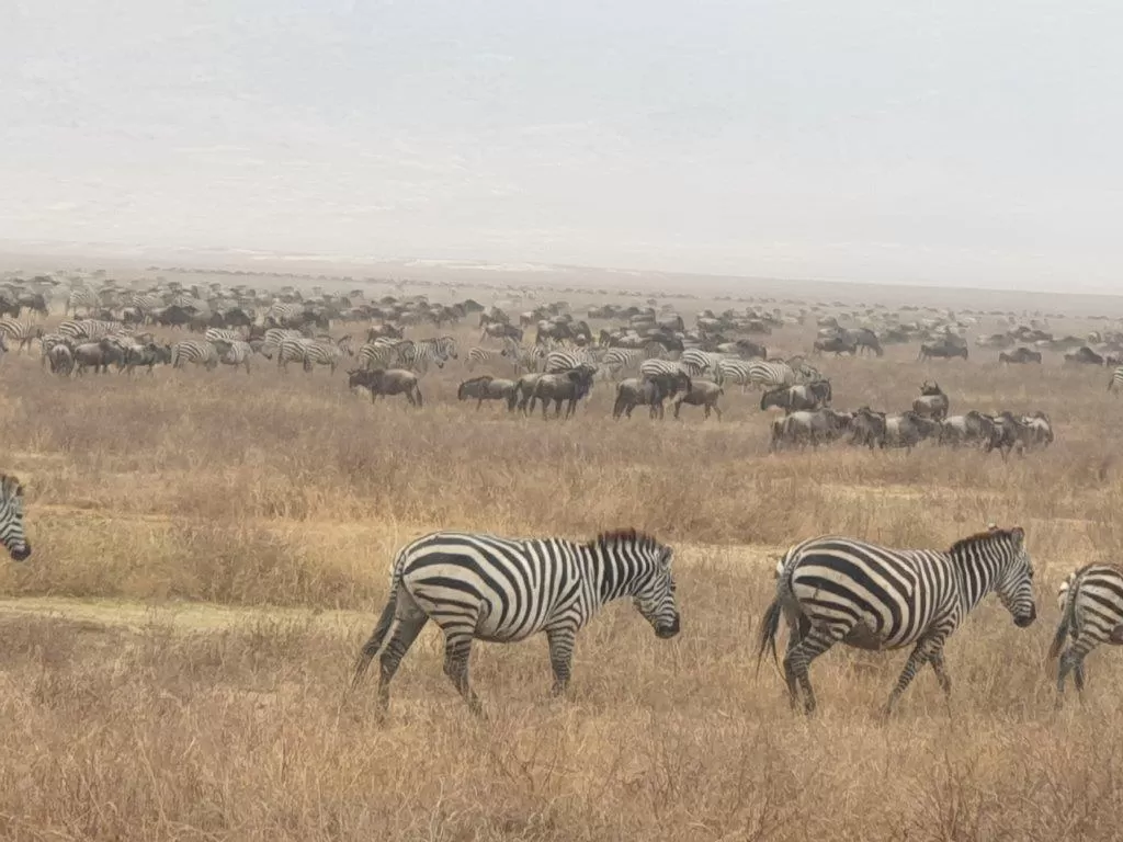 lake natron private tour