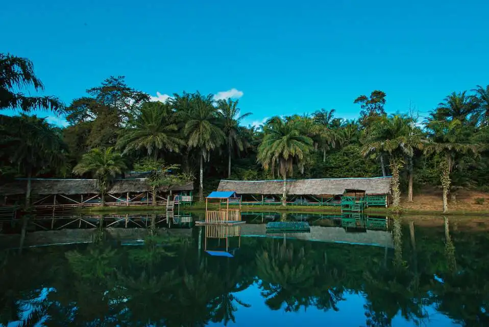 3 days magoroto forest from moshi 3 days magoroto forest from moshi