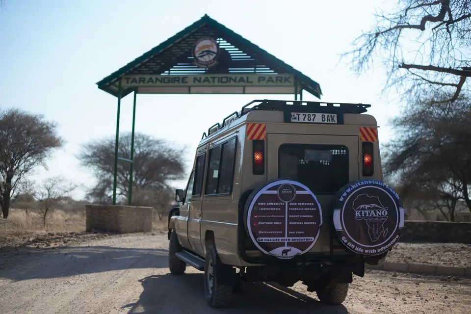 5-Day Tarangire, Ngoroongoro & Manyara Adventure - Tanzania safari gallery image