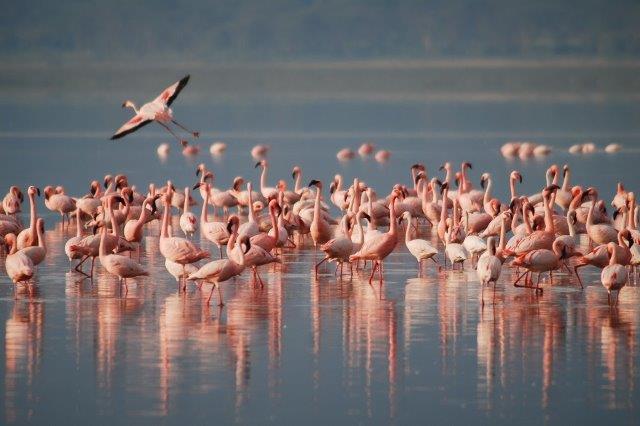 lake natron private tour