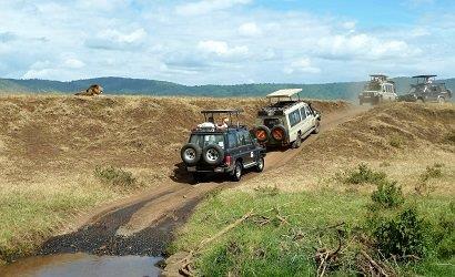 1 day tanzana private safari like manyara 