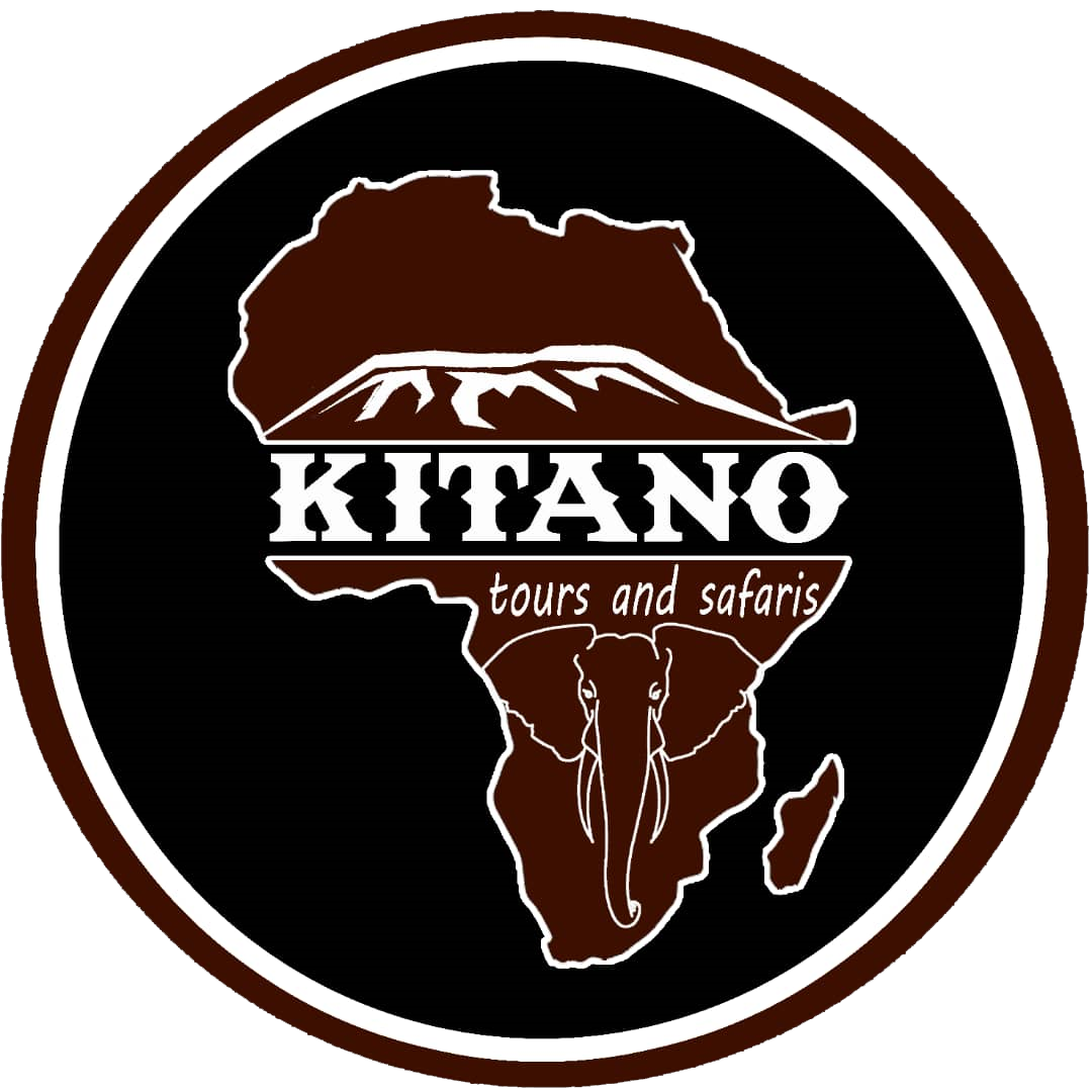 Kitano Tours Safaris