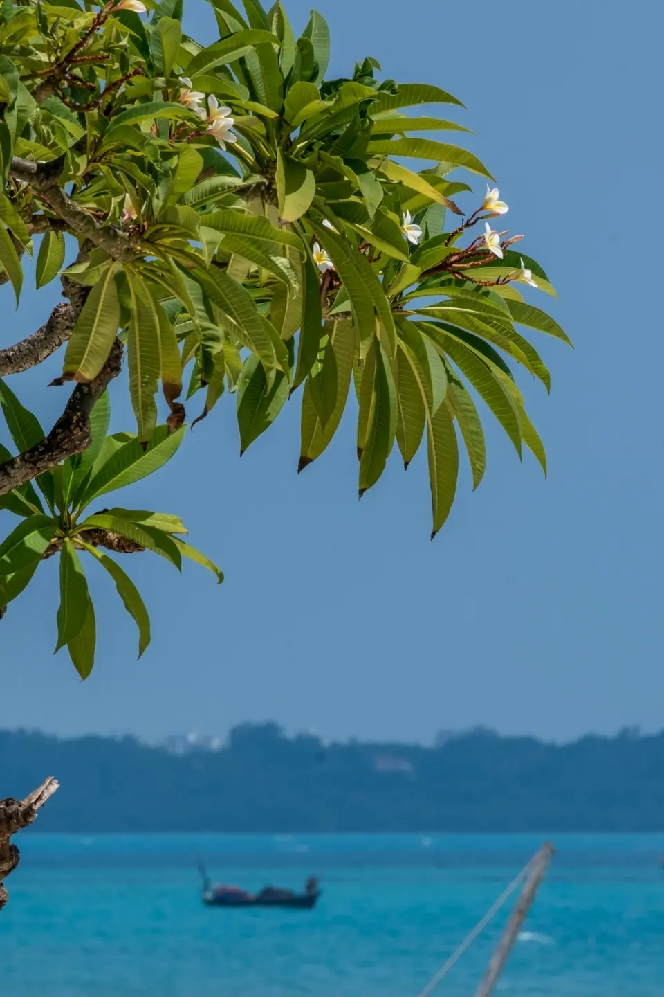5 days zanzibar beach holidays 5 days 3 nights zanzibar beach holiday