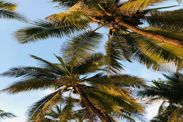 5 days zanzibar beach holidays 5 days zanzibar beach holiday