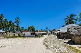 dolphine tour zanzibar