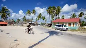 zanzibar dolphine